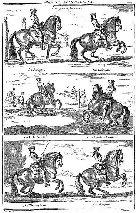 Equitação & Tauromaquia - Loja da In-Libris