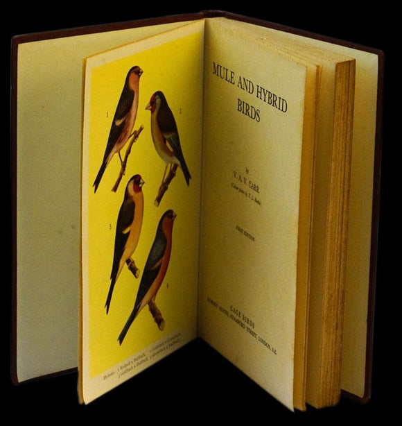 MULE AND HYBRID BIRDS - Loja da In-Libris