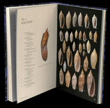 Australian Marine shells - Loja da In-Libris