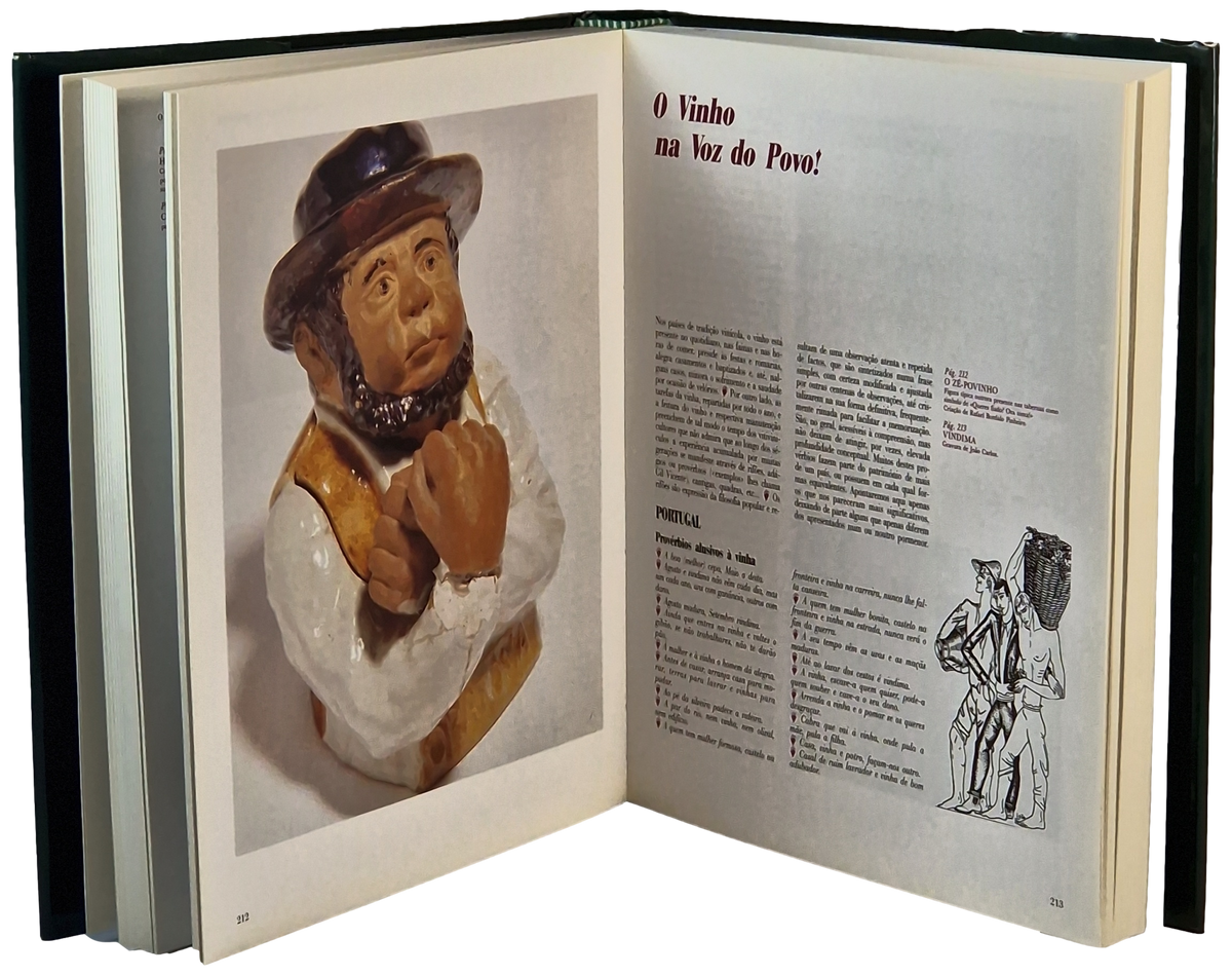 grandelivrodovinho-o-2-1200x1200-png-v-1680544403