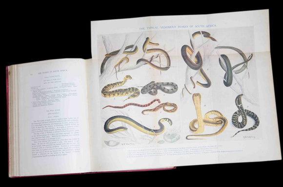 Livro - SNAKES OF AFRICA (THE)