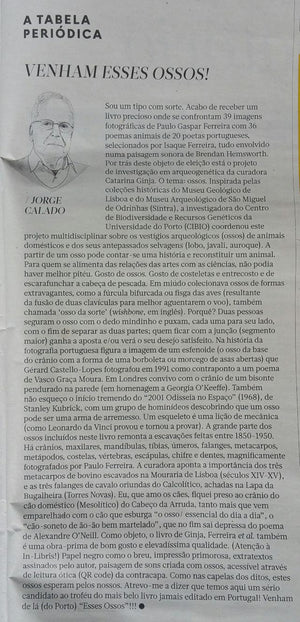 Recensão crítica do Prof. Jorge Calado acerca do livro "ESSES OSSOS"