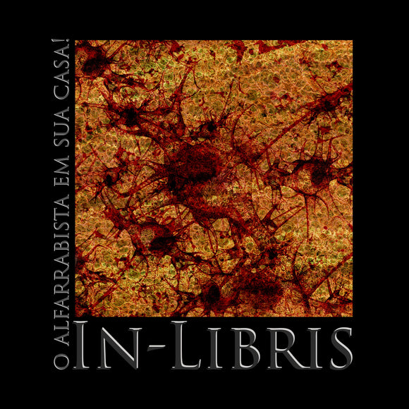 ** Montra de 27 de Setembro | 2025