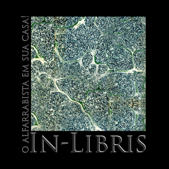 ** Montra de 6 de Dezembro | 2025