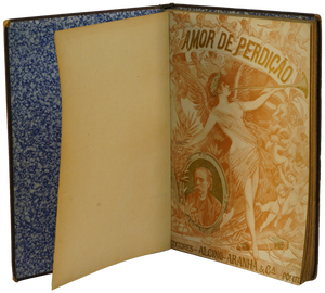 Amor de Perdição (Camiliana)