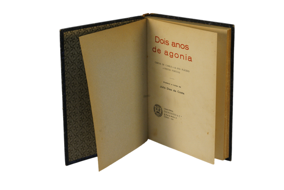 Dois anos de agonia [Camiliana]
