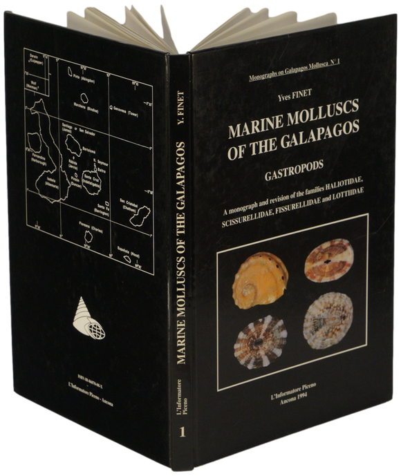 Marine Molluscs of the Galapagos