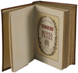 Viagens na minha terra