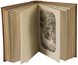 Viagens na minha terra