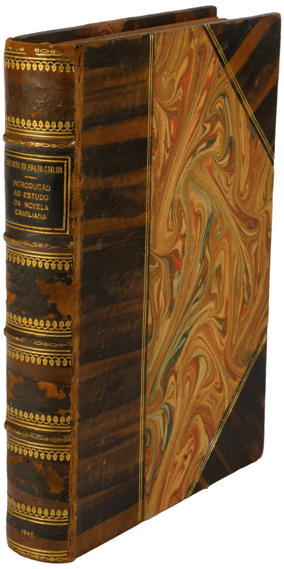 Introdução ao estudo da novela camiliana