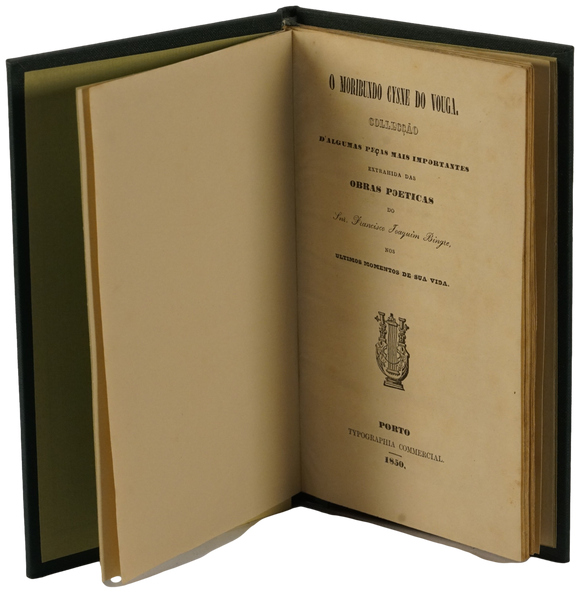 Moribundo cisne do vouga