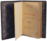 Nas trevas — Camilo