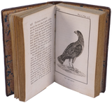 Histoire naturelle des oiseaux d'Afrique