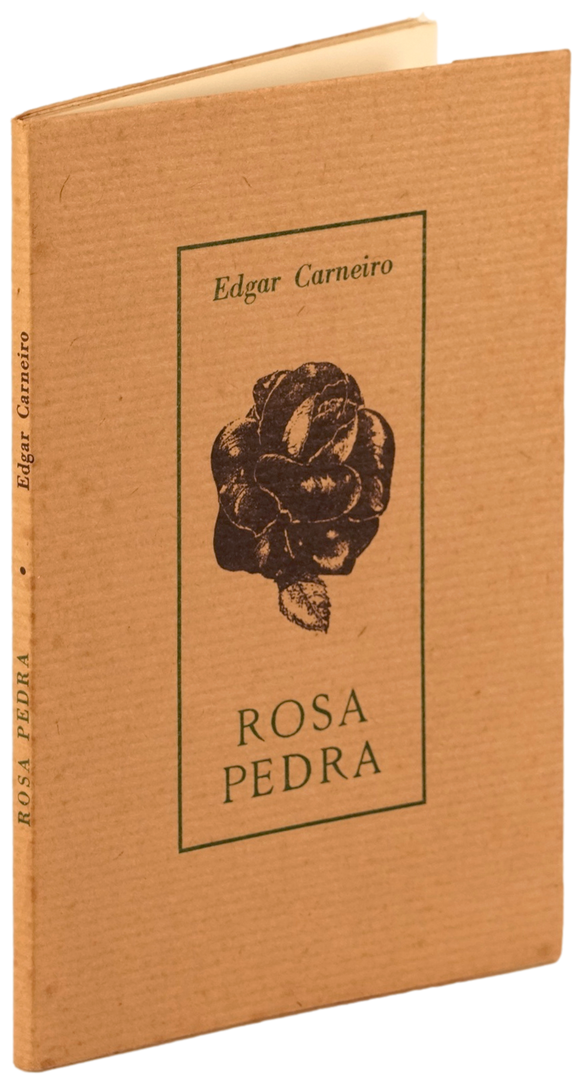 Rosa pedra