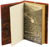 Roteiro sentimental — Manuel Mendes