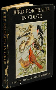 Birds portraits in color - Loja da In-Libris
