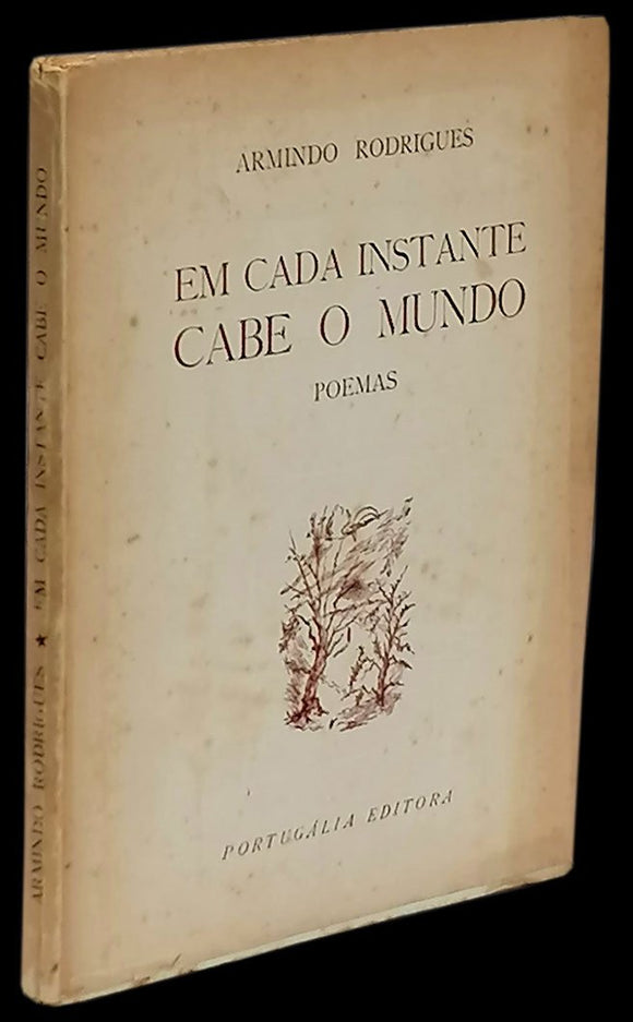 Em cada instante cabe o mundo — Armindo Rodrigues Livro Loja da In-Libris   