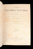 Historia Natural - Alfred Edmund Brehm
