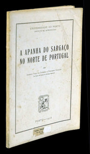 APANHA DO SARGAÇO NO NORTE DE PORTUGAL Livro Loja da In-Libris   