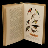 Birds of the Malay peninsula, Singapore & Penang Livro Loja da In-Libris   
