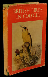 British Birds in colour