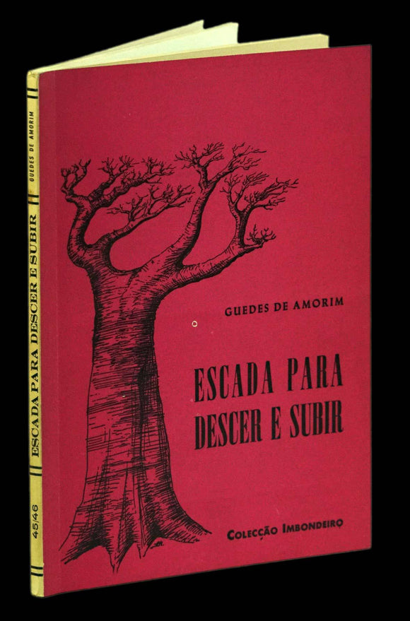 ESCADA PARA DESCER E SUBIR - Loja da In-Libris