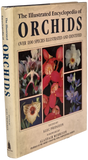 Illustrated Encyclopedia of Orchids (The)
