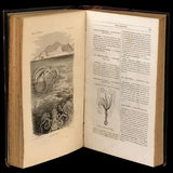 Merveilles de la nature - Loja da In-Libris