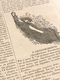 PANORAMA (O) - Loja da In-Libris