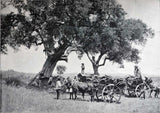 PORTUGAL AU POINT DE VUE AGRICOLE (LE) - Loja da In-Libris