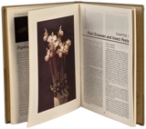 Paphiopedilum growers manual Livro ********************   