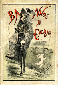 BANHOS DE CALDAS E AGUAS MINERAIS Livro Loja da In-Libris   