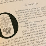 Terra Portuguesa - Revista Ilustrada de Arqueologia Artística e Etnografia