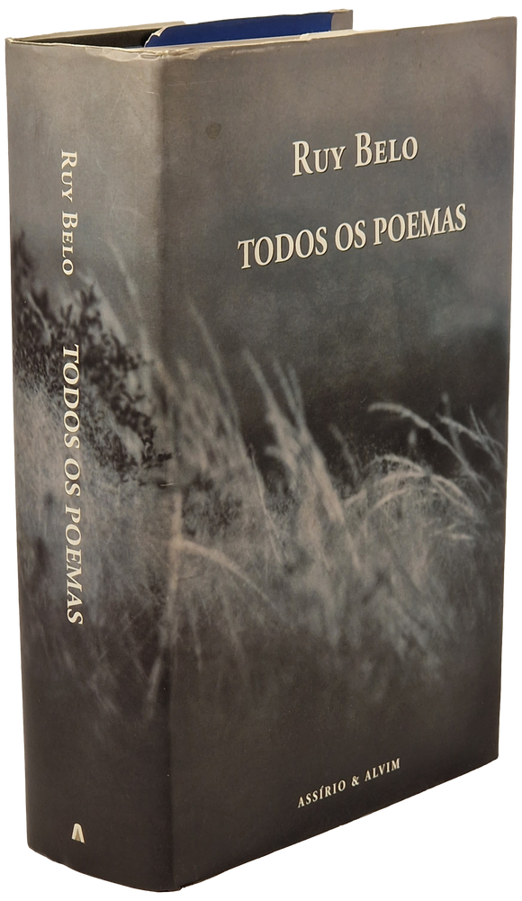 Todos os Poemas — Ruy Belo