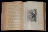 Livro - CAMPANHA DO BARUÉ EM 1902 (A)