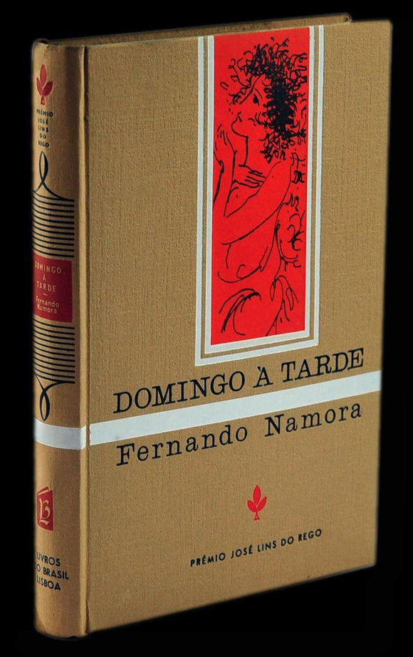 Livro - DOMINGO À TARDE