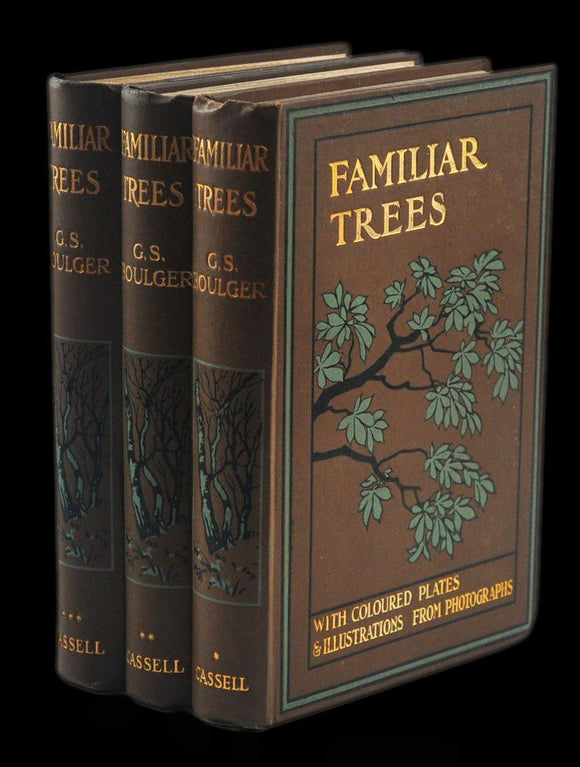 Livro - FAMILIAR TREES