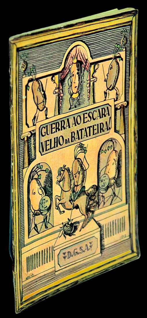 Livro - GUERRA AO ESCARAVELHO DA BATATEIRA!