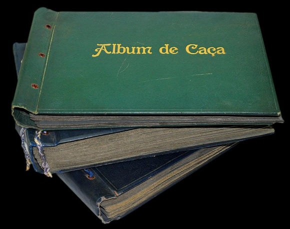 Livro - ÁLBUM DE CAÇA — ÁFRICA E EUROPA — SÉCULO XX (1940-1960)