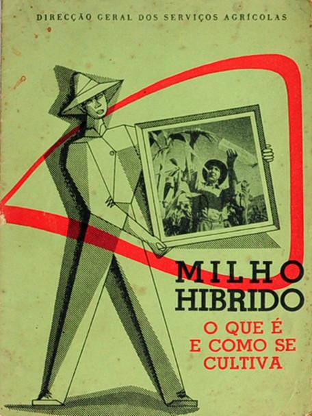Livro - MILHO HÍBRIDO