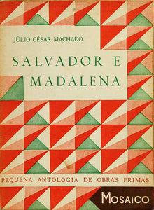 Livro - SALVADOR E MADALENA