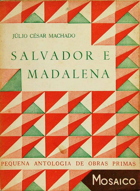 Livro - SALVADOR E MADALENA