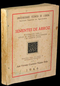 Livro - SEMENTES DE ARROZ