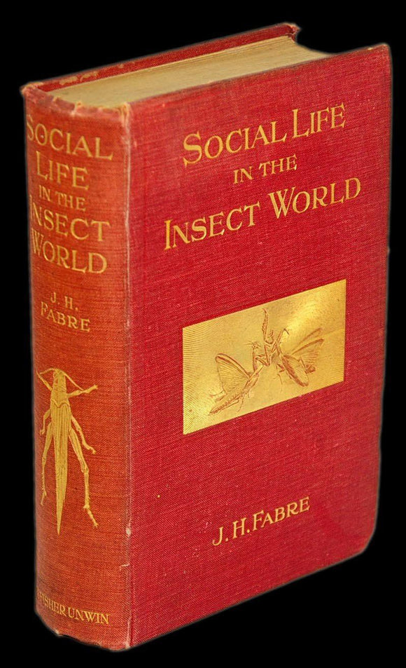 Livro - SOCIAL LIFE IN THE INSECT WORLD