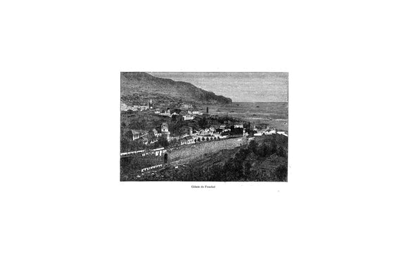Reprodução De Gravura - (FUNCHAL)-Cidade-do-Funchal